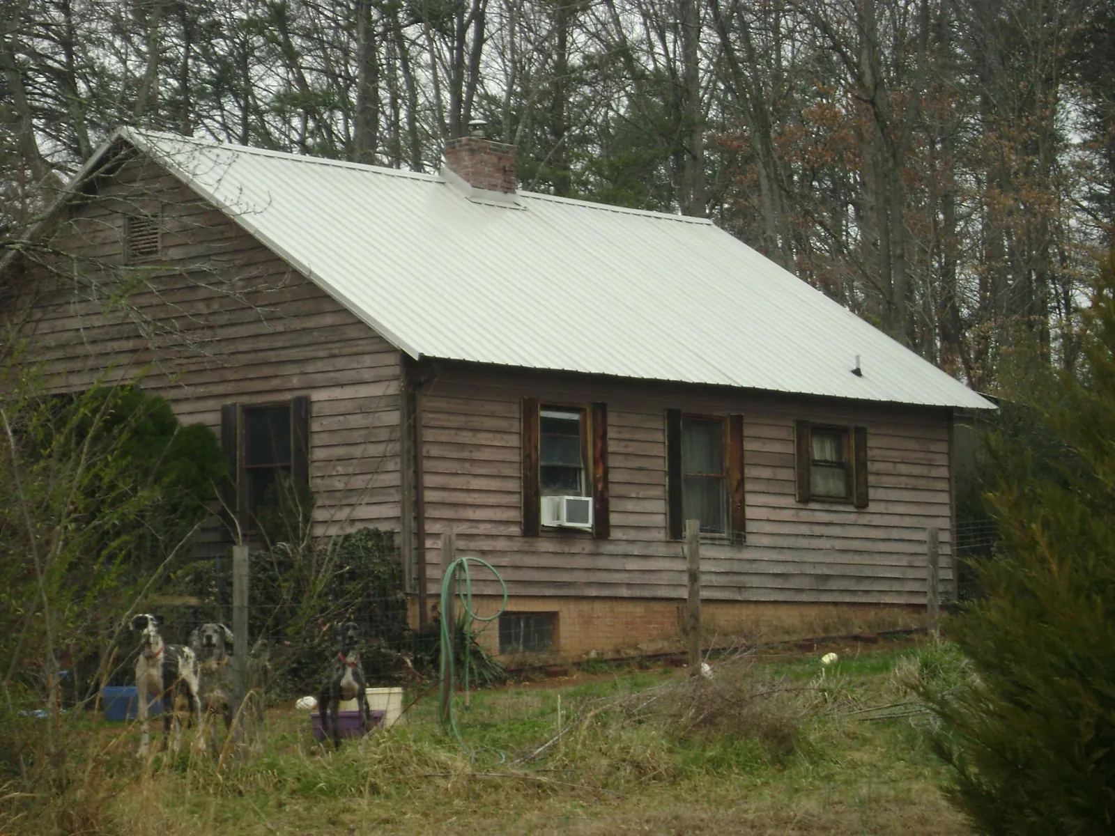White metal roof on an old wood sided farmhouse, from a Asphalt Shingle Roof Repair job in Pierce